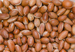 noyau d'argan 2