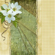 Background for congratulation card Background for congratulation card