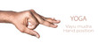 Yoga Vayu mudra
