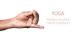 Yoga hridya mudra