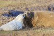 Tender Moment