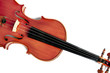 Violino su fondo bianco, musica