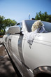 Foto: Luxury wedding car Luxury wedding car