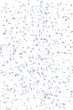 bollicine frizzanti
