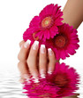 Nageldesign pink Nageldesign pink