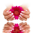 Nailart French rose white