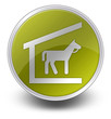 Yellow Glossy Icon "Stable"