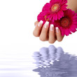 Naildesign rosa Naildesign rosa