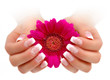 Nageldesign Rose Weiss