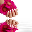 Naildesign pink Naildesign pink