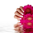 Nageldesign rosa