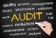 AUDIT - Business and Quality Concept