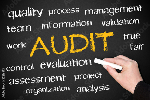Illustration: AUDIT - Business and Quality Concept AUDIT - Business and Quality Concept