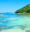 Palms Bay Jungle