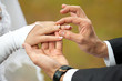 Newly-married couple on wedding dresses gold rings