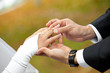 Newly-married couple on wedding dresses gold rings