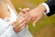 Newly-married couple on wedding dresses gold rings