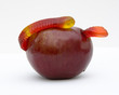 worm in apple