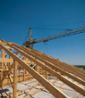 Roof building