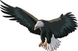 Vector: American Eagle In a Flight American Eagle In a Flight
