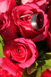 Wedding Flowers