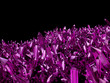 Amethyst crystals