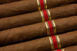 Photo: Close up of Dutch cigars Close up of Dutch cigars