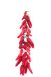 Bunch of drying chillis, isolated on white