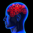 The human brain The human brain