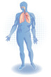 Vecteur : Système respiratoire Système respiratoire