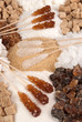 Various types of sugar Various types of sugar