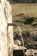 Spring Water