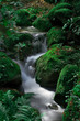 The beautiful Waterfall in forest