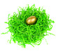 golden egg nested in green decorative grass