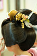 Japanese Geisha