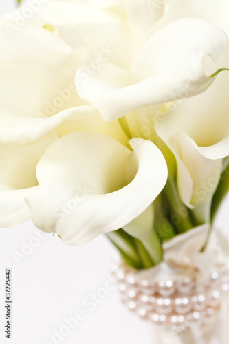 Photo: calla flowers calla flowers
