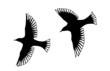 Illustration: Angel Bird Silhouettes Angel Bird Silhouettes