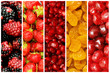 Set of various fruit and vegetables Set of various fruit and vegetables