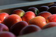 Foto: Histoire de pomme Histoire de pomme