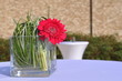 Milieu de table