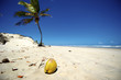 Mangue Seco, Bahia, Brazil