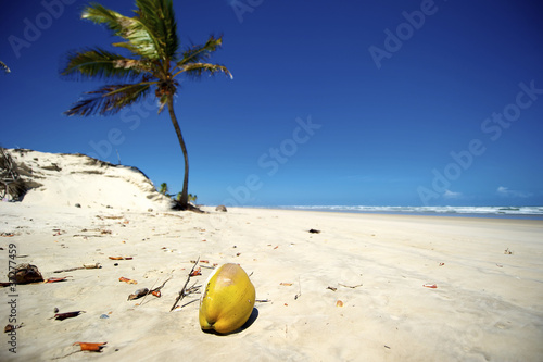 Photo: Mangue Seco, Bahia, Brazil Mangue Seco, Bahia, Brazil