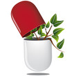 Pilule rouge plante