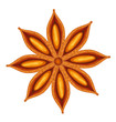 Anise.