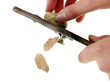slicing truffle