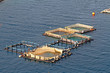 Aquaculture