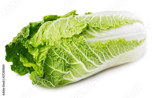 Foto: Chinese cabbage Chinese cabbage