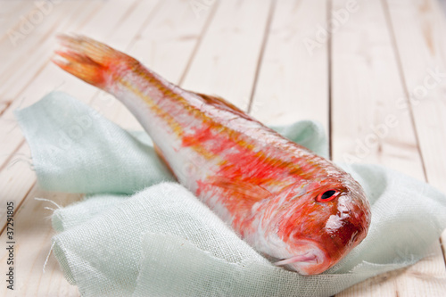 Photo: Fresh red mullet on wooden table Fresh red mullet on wooden table