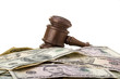 Gavel and Money