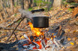Bonfire 12